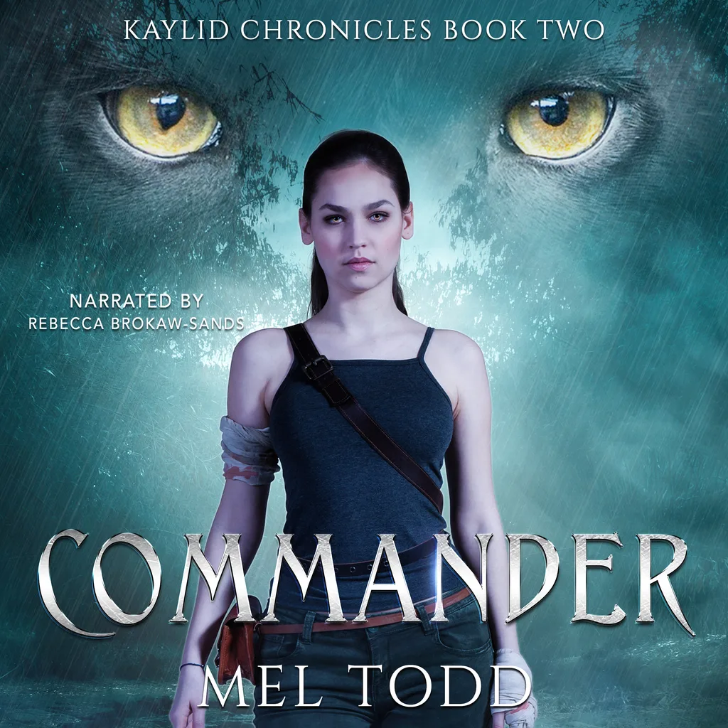 Audiobook cover