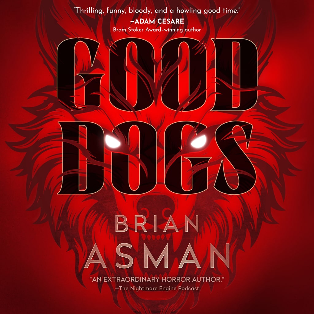 Audiobook cover