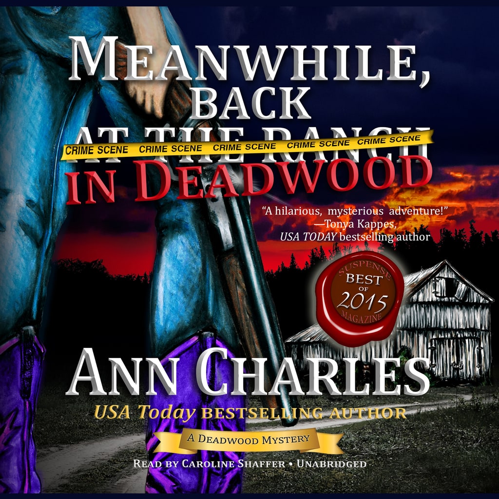 Audiobook cover
