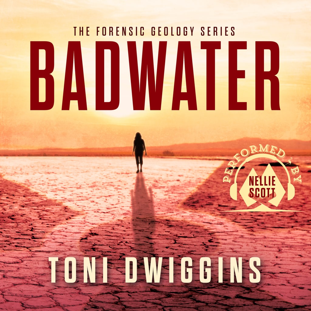 Audiobook cover