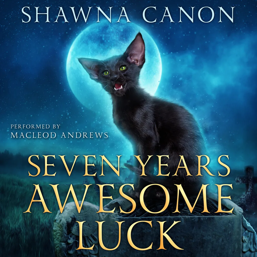 Audiobook cover