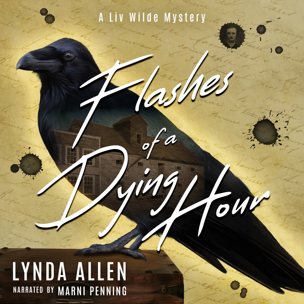 Audiobook cover