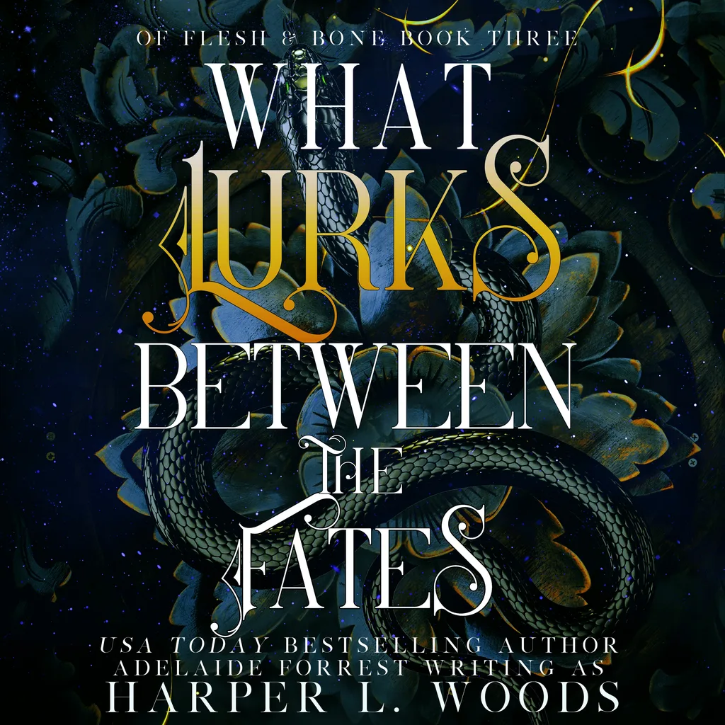 Audiobook cover